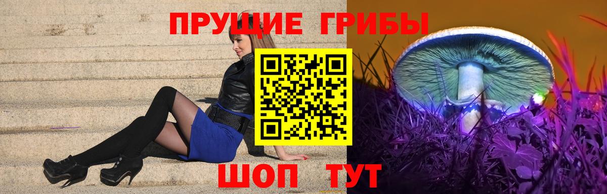 Рассказово  Псилоцибиновые грибы Magic Shrooms  Псилоцибиновые грибы GOLDEN TEACHER  Вход с VPN 